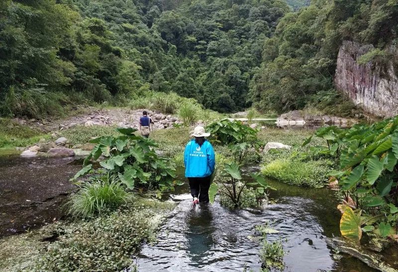 5b61533a917a0.jpg 1.jpg