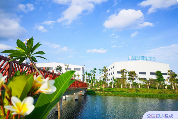 5f1dce6f4346a.png 4.png