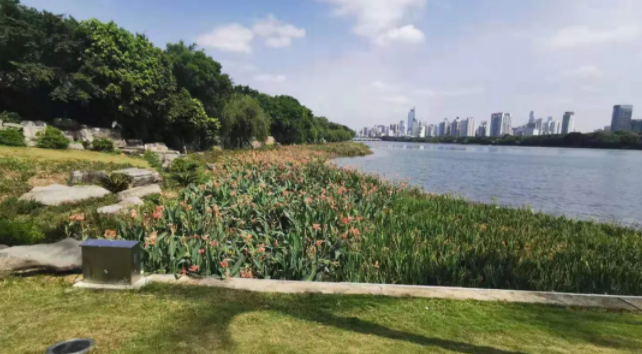 5f51f015cf5e8.png 4.png